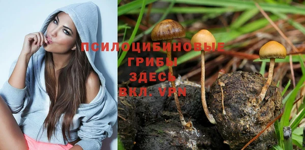 mdpv Куйбышев