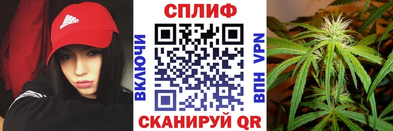 Бошки марихуана планчик  Купить  Зеленодольск 